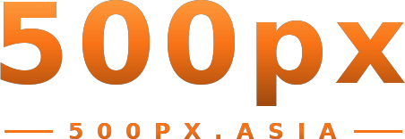 500px logo